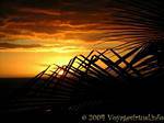 Nature Art, coucher de soleil, Guadeloupe, Guadeloupe.