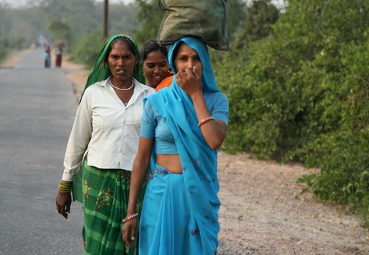 Passantes in Bharatpur