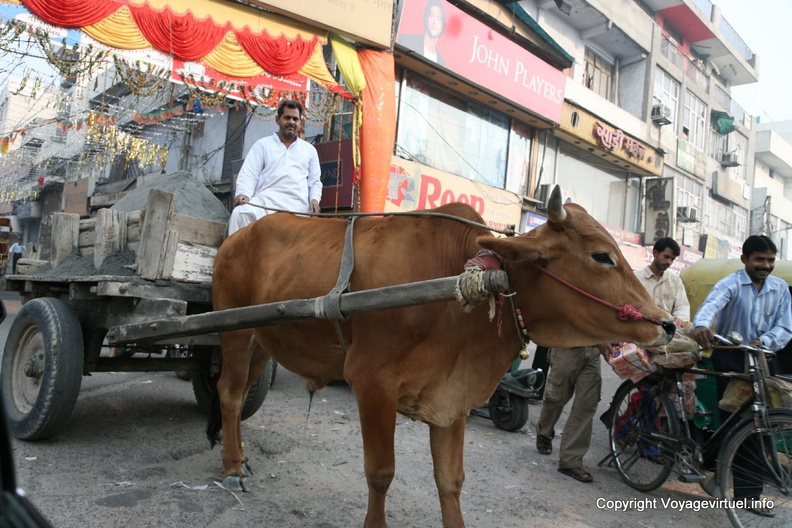 Delhi, Transport De Matériau Dans Le Centre De Delhi 4