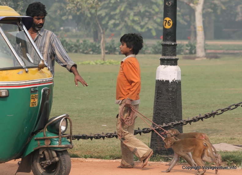 Delhi, Montreurs De Singes Delhi Rajpath 103