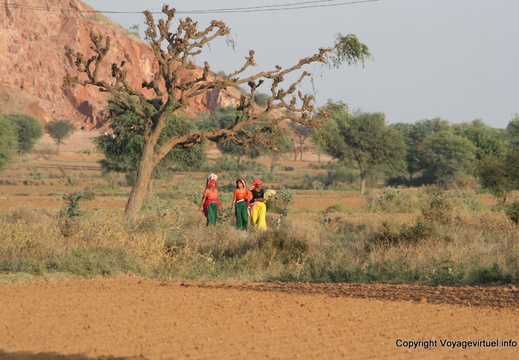 Les trois femmes sous l'arbre Route Delhi Singhara 27