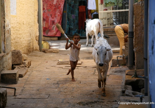Jaisalmer citadelle 47