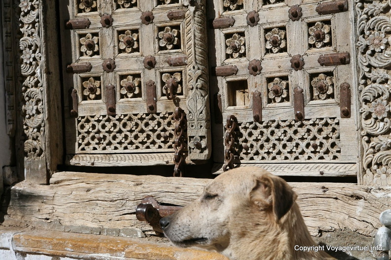 Le chien devant l'antique porte Jaisalmer