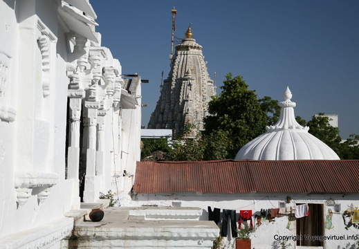 Udaipur jagdish temple 58