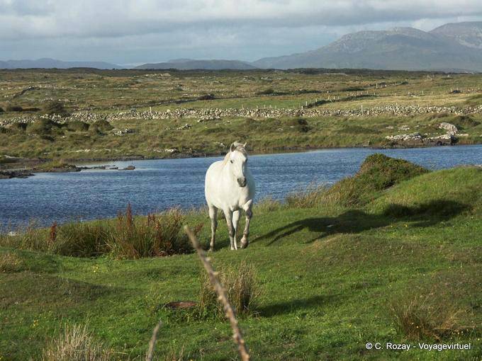  - Irlande
