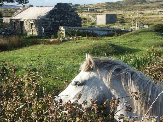  - Irlande