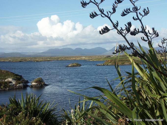  - Irlande