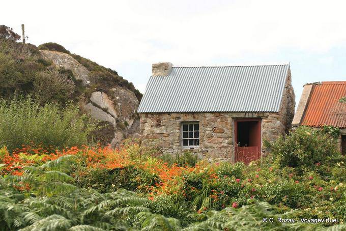 Chaumière typique et fougères, Donegal Rosses - Irlande