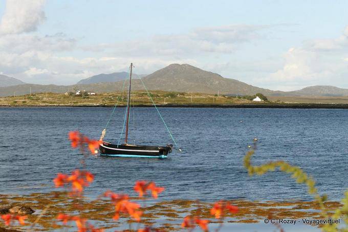 Hooker en attente de régate, Roundstone, Connemara Galway - Irlande