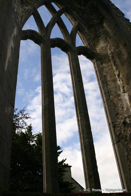 Architecture impressionnante du Couvent des Cordeliers (Franciscan Friary), Ennis Abbey - Irlande