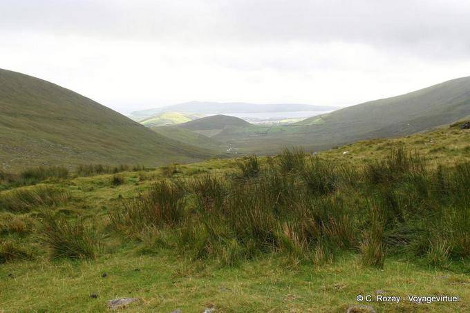 Paysage de landes en direction de Fahamore, Conor Pass, Dingle - Irlande