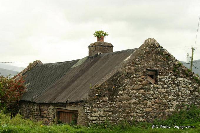 Culture dans la cheminée d'une vieille maison, Dingle - Irlande