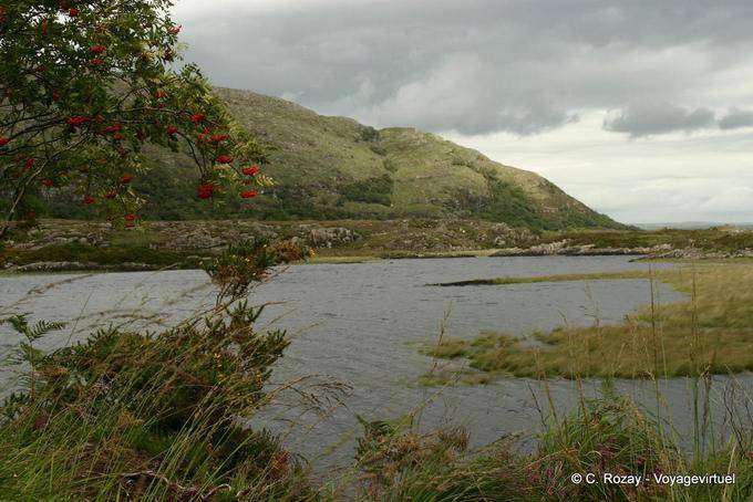 En direction de Brickeen Island, Killarney National Park - Irlande