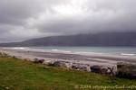 On the beach, immense plage de Keel, Achill Island, Irlande.