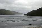 Elevage de poissons dans le Killary Harbour, Irlande.