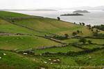 Iles du Lough Corrib vers Cornamona, Connemara, Irlande.
