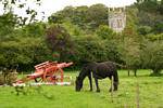Cheval au pré, Walled Garden, Bunratty Folk Park, Irlande.