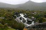 Torrent dans les monts de la Conor Pass, Dingle, Irlande.
