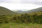 Paysage de landes en direction de Fahamore, Conor Pass, Dingle, Irlande.