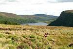 Paysage autour du lac Luggala, Irlande.