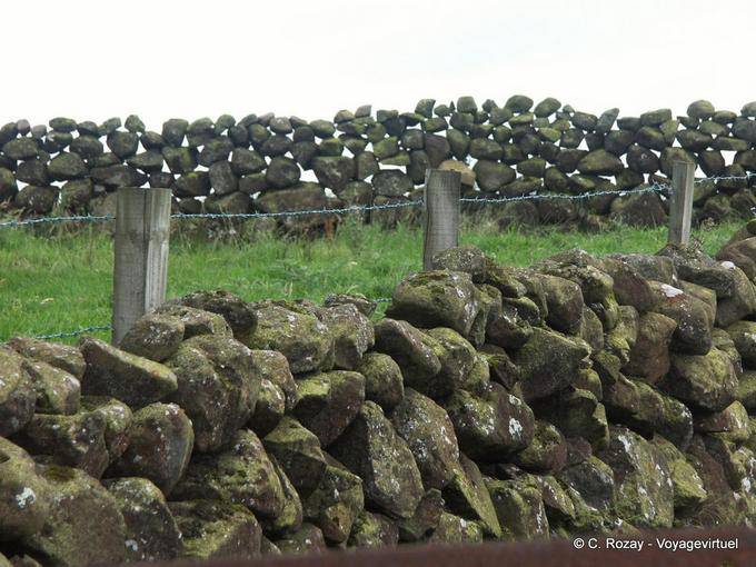 Mur de pierres, typique du paysage d'Ulster, séparant les pâturages, Antrim Coast - Irlande du Nord