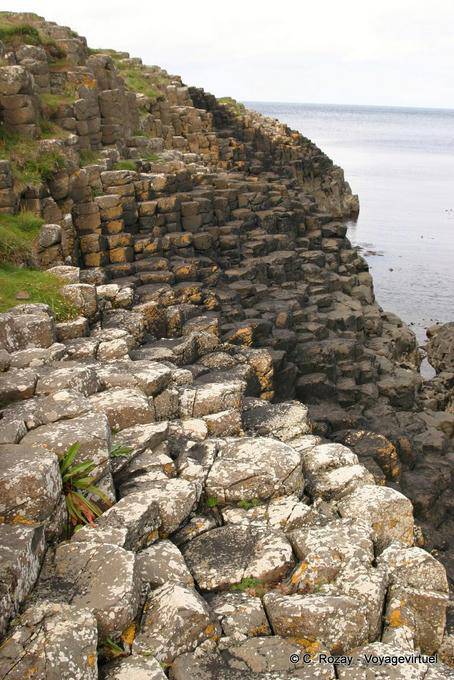 Structure transversale des cheminées de basalte, Chaussée des Géants - Irlande du Nord