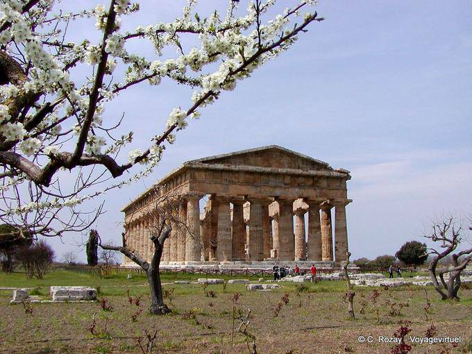 Le Temple d'Héra II au printemps, Paestum - Italie