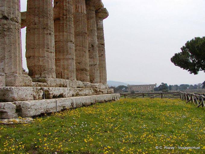 Les massives colonnes du temple de Neptune, Paestum - Italie