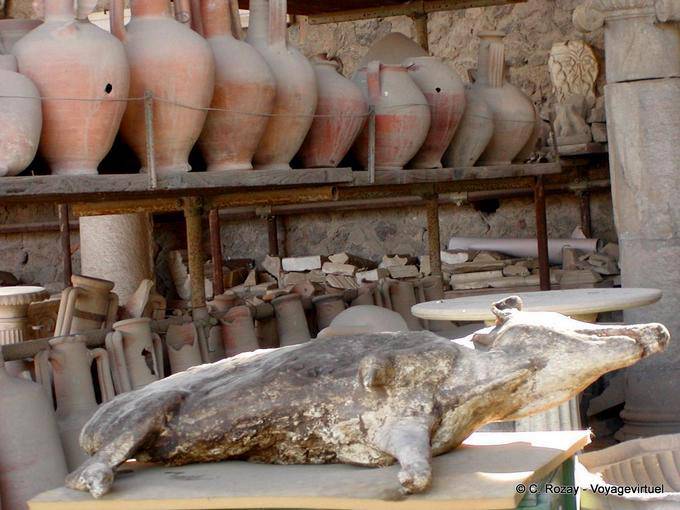 Chien statufié, Pompéi - Italie