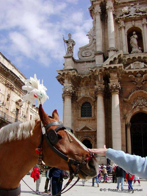 Caresse sur le cheval, Syracuse, Sicile - Italie