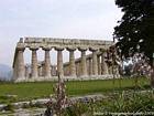 Basilique de Paestum Héra, Italie.