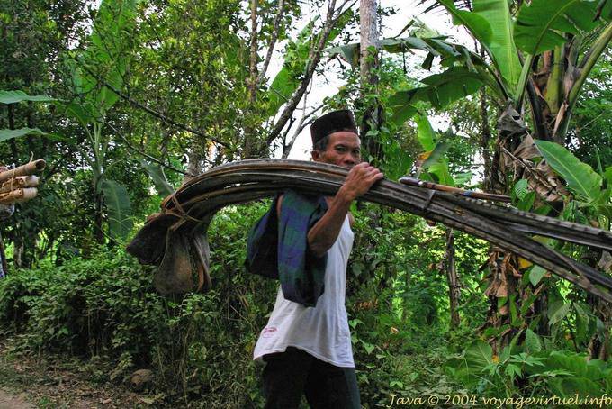 Récolte de palmes pour couvrir un toit, Jambewangi, Java - Indonésie