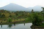 Paysage de rizières sur fond de volcans, Java paysage, Indonésie.
