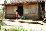 Maison traditionnelle javanaise, Jambewangi, Java, Indonésie.