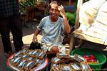 Serrés comme des sardines, marché aux poissons, Banyuwangi, Java, Indonésie.