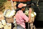 Les mineurs sont mal payés, et le porteur reçoit 0.05$ par kilo de soufre, Kawa Ijen, Java, Indonésie.
