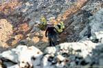 12 tonnes de minerai de soufre sont extraites par jour, Kawa Ijen, Java, Indonésie.