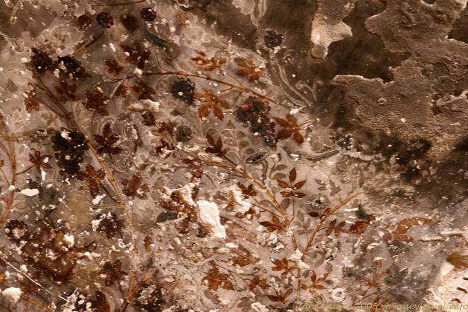 Peinture nabatéenne à motifs floraux, Siq al-Barid, Little Pétra - Jordanie