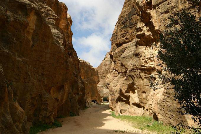 Entre les parois abruptes du Siq, Al Beidha, Little Pétra - Jordanie