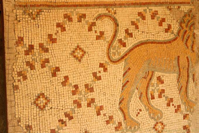 Lion, vue partielle d'une mosaique, Madaba - Jordanie