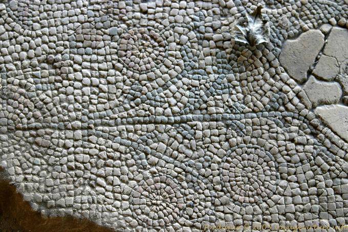 Église de la Vierge : sol composé de motifs géométriques en mosaïque, Madaba - Jordanie