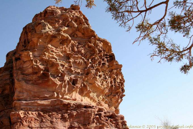 Schkroot, alentours du Deir, Pétra - Jordanie