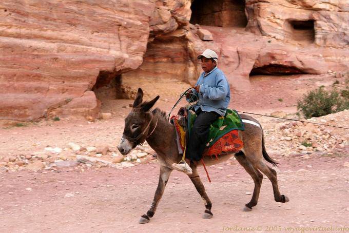 Sur l'âne Khubta, Pétra - Jordanie