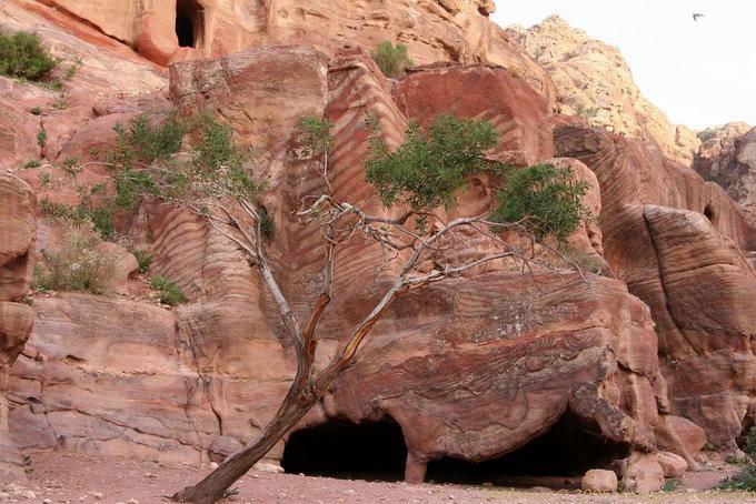 Habitation troglodyte sous la tombe, Khubta, Pétra - Jordanie