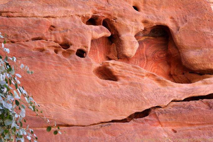 Erosion et couleurs sur falaise, Khubta, Pétra - Jordanie