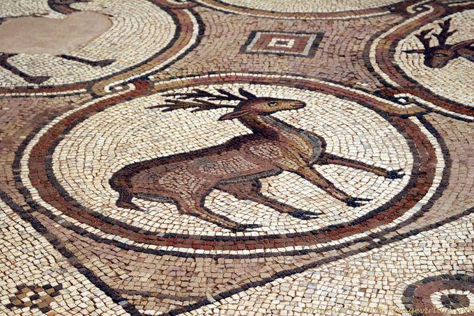 Le cerf, mosaïque de l'église byzantine de Pétra - Jordanie
