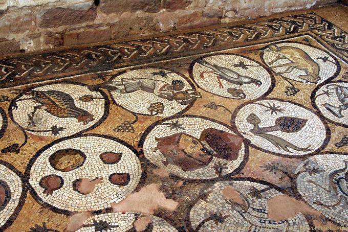 Mosaïques représentant des animaux et plantes, église byzantine de Pétra - Jordanie