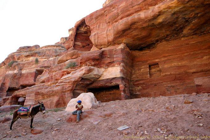 Le joueur de flûte et son âne, Pétra Ville Basse - Jordanie