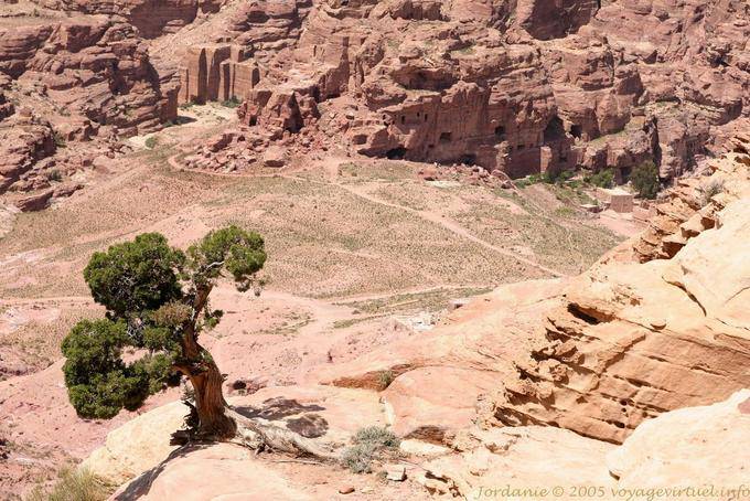 Perspective sur une vallée encaissée depuis le Haut-Lieu, Pétra, Zib Attuf - Jordanie