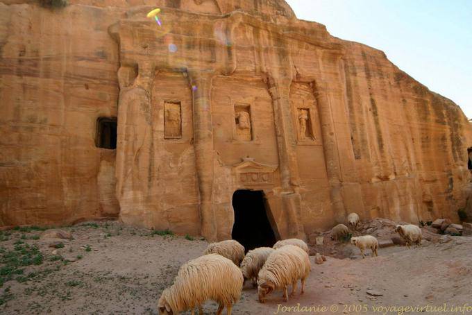 Moutons devant la façade de la tombe du Soldat Romain, Wadi Al-Farasa, Pétra - Jordanie